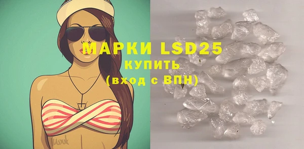 шишки Магас