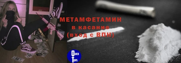 шишки Магас