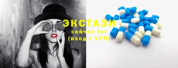 шишки Магас