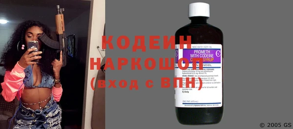 шишки Магас