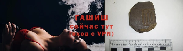 шишки Магас