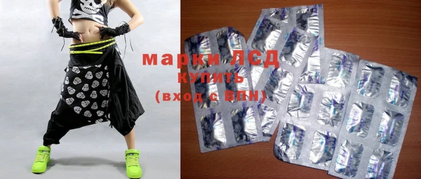 шишки Магас