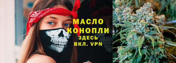 шишки Магас