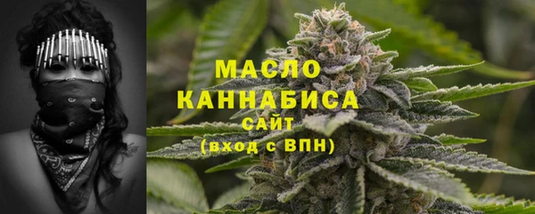 шишки Магас