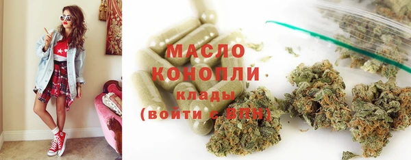 шишки Магас