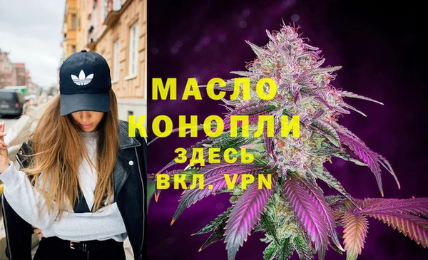 шишки Магас